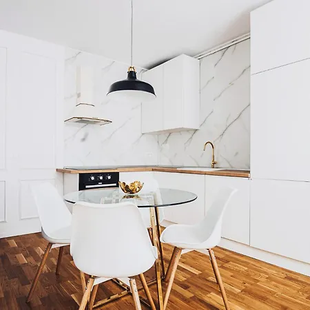 Voya Nordic Apartment-a Luxury Oasis In The Old Town 布拉索夫