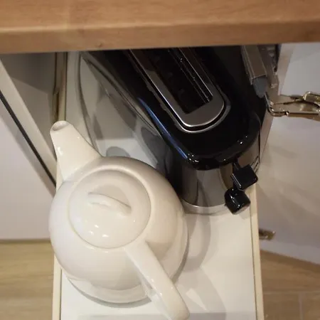 公寓 Voya Nordic Apartment-a Luxury Oasis In The Old Town