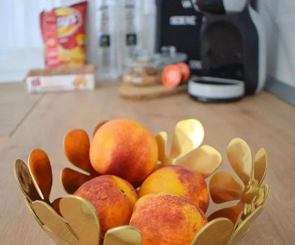 Voya Nordic Apartment-a Luxury Oasis In The Old Town Brasov